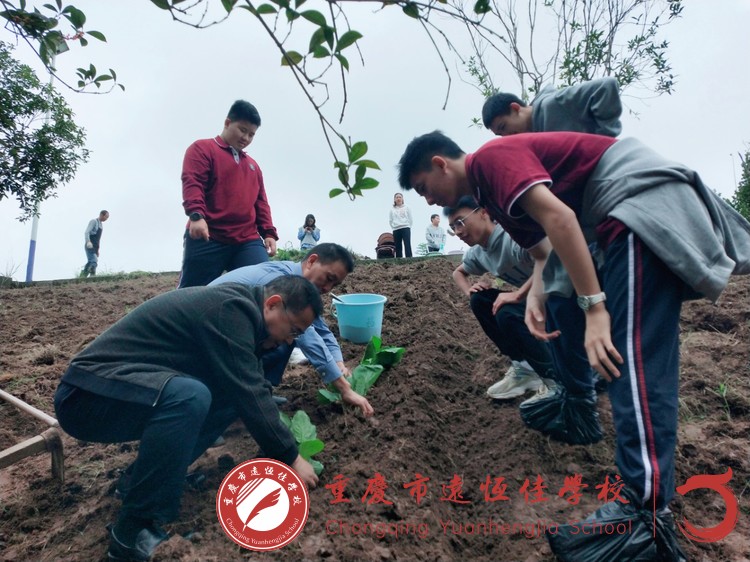 优美教育|寄情于劳动 生长于课程———高一年级康健食育课程之莳植篇
