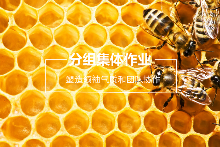 英国·威廉希尔(williamhill)唯一中文官方网站