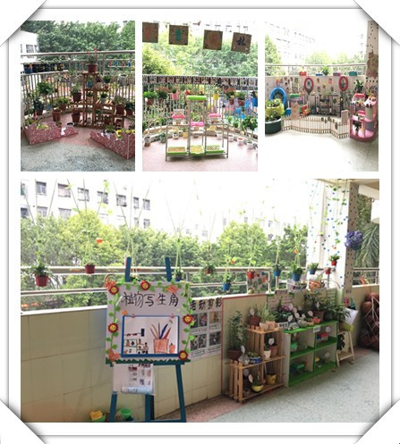 春暖花开，，，，，，，绿树成荫——威廉希尔官网公明第二幼儿园自然视察角大比拼