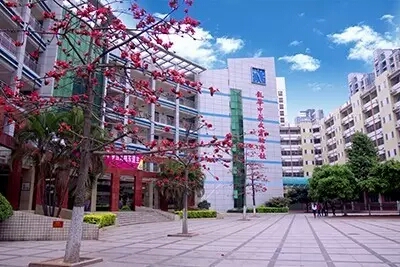 课件：物质的判别【化学】