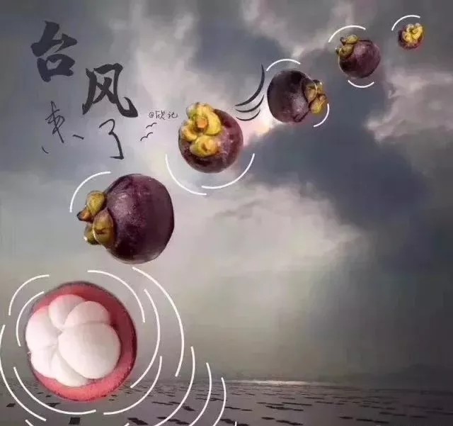 台风无情人有情，，，，，，应对台风“山竹”，，，，，，我们团结一心。。。。。。