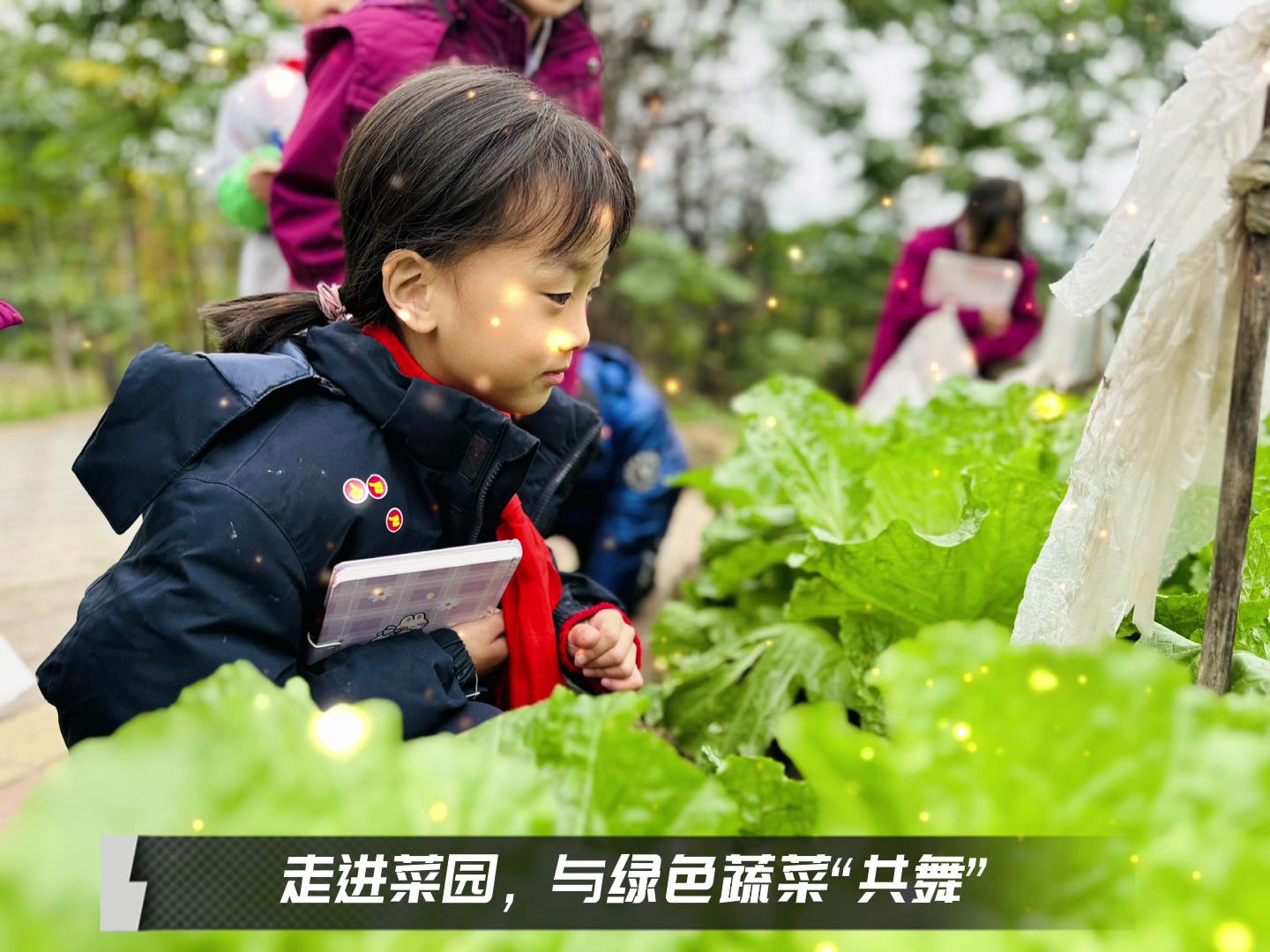 美勤学校|留校时光，，，，，，，走出课堂，，，，，，，与绿色蔬菜共舞
