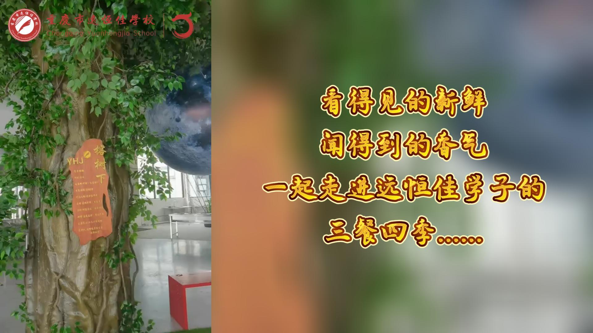 美勤学校|看得见的新鲜，，，，，，闻获得的香味，，，，，，一起走进威廉希尔官网学子的三餐四序!
